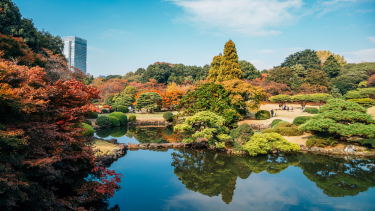 Shinjuku Gyoen