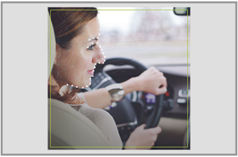 Driver & Occupancy Monitoring System